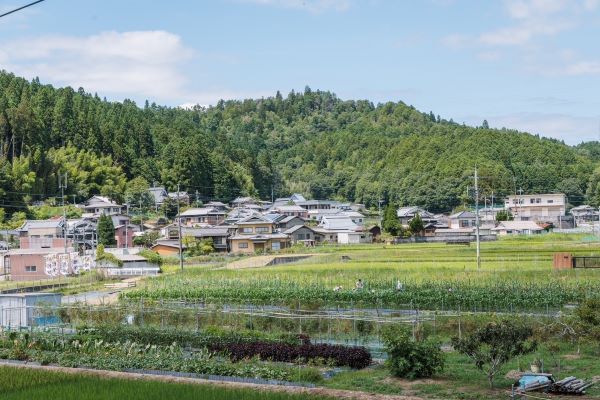 畑風景