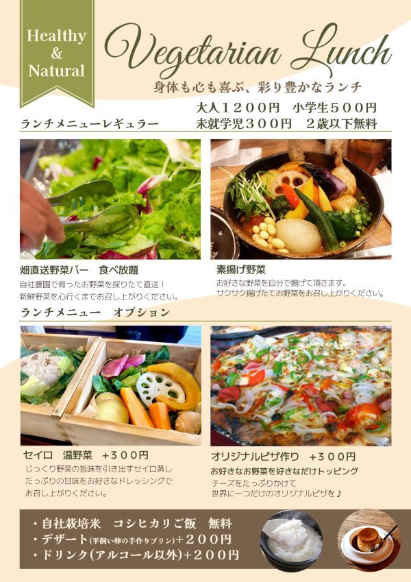 野菜とごはん　ベジ彩　ランチ (2)