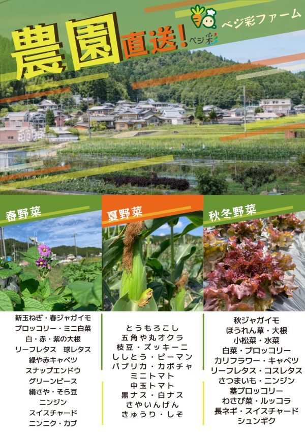 栽培野菜 (4)